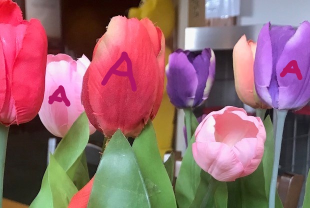 Tulpen A Blogparade
